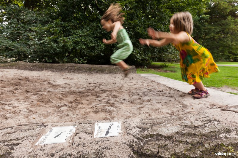 Springen als een kikker