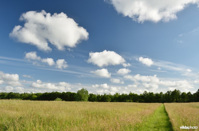 Vloeiweiden