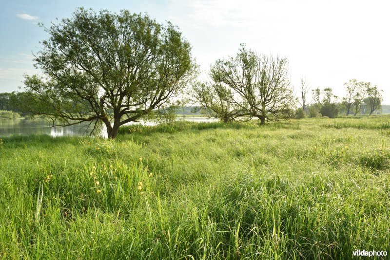 Natuurreservaat Bourgoyen