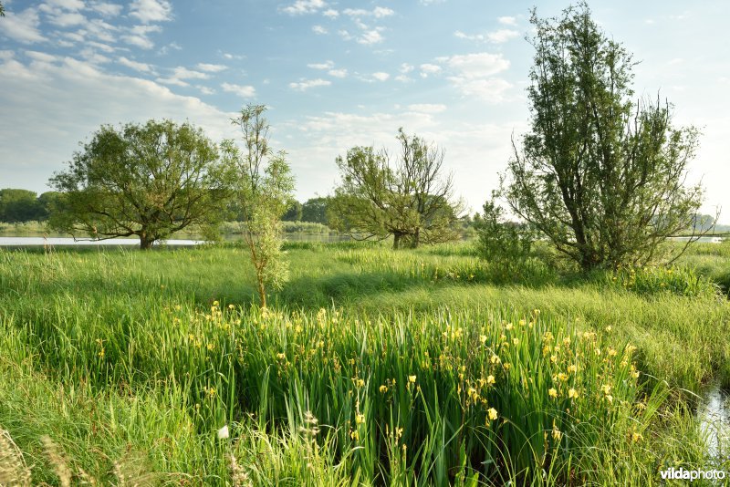 Natuurreservaat Bourgoyen