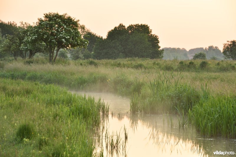 Natuurreservaat Bourgoyen