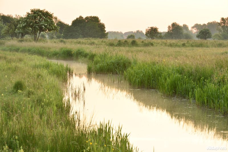 Natuurreservaat Bourgoyen