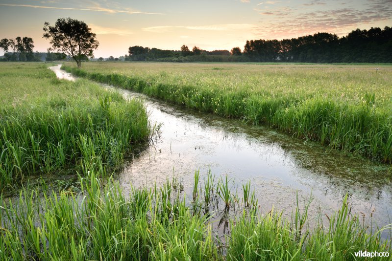 Natuurreservaat Bourgoyen