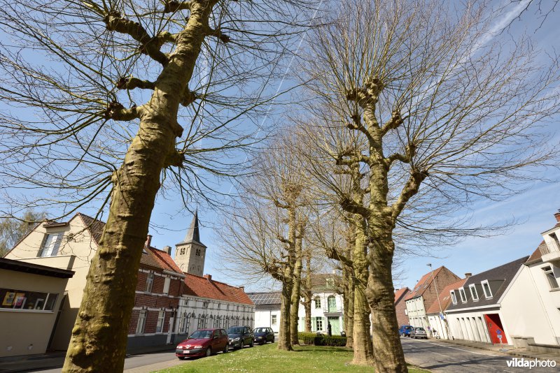 Lijnwaadmarkt Ename