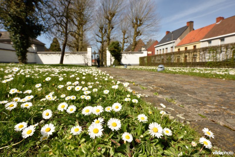 Archeologisch musem van Ename