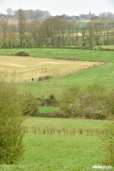 Parkbos-Uilenbroek