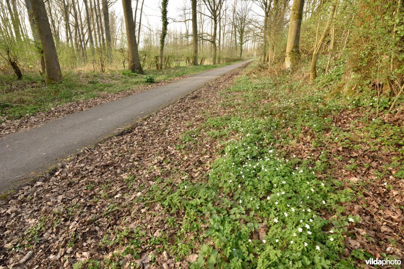 Mijnwerkerspad aan de Zwalm