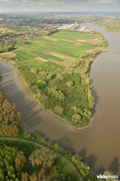 Tielrode polder
