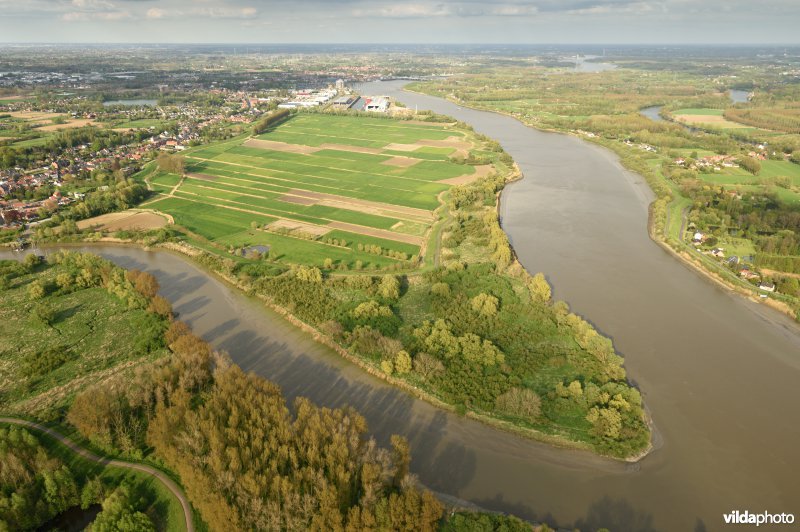 Tielrode polder