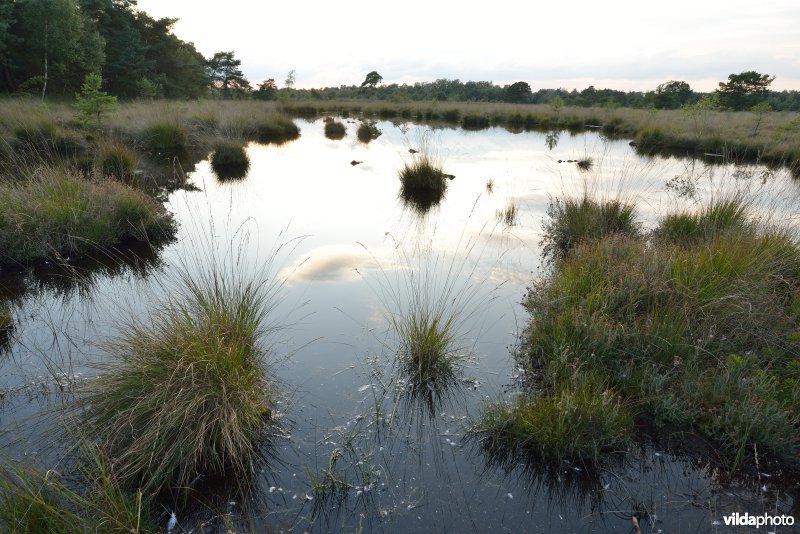 Natuurreservaat De Liereman