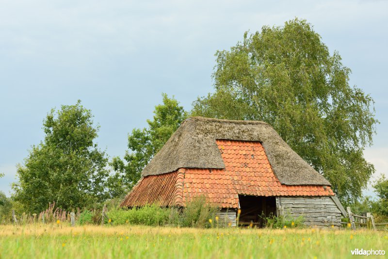 Kempense stal in natuurreservaat De Liereman