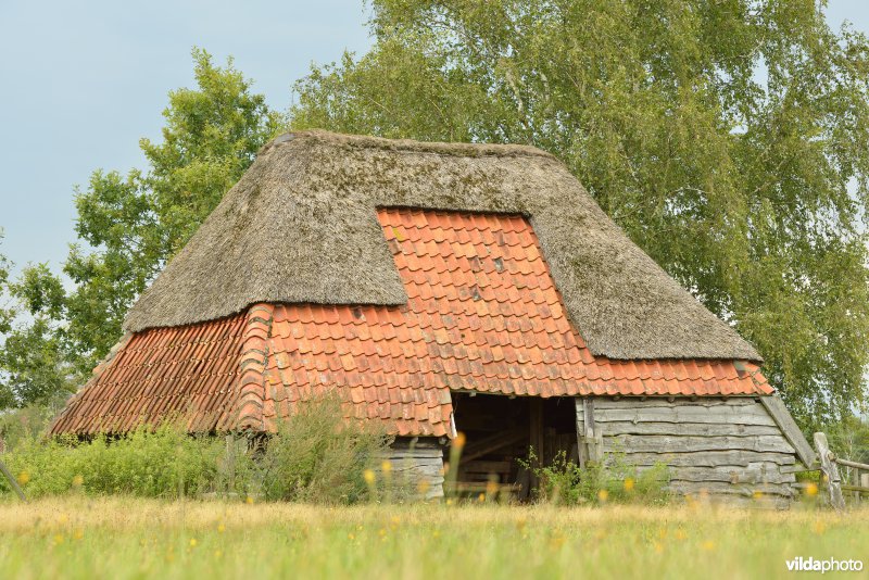 Kempense stal in natuurreservaat De Liereman