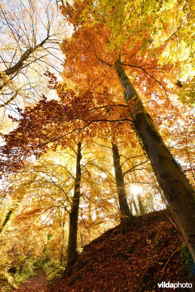 Vallei van de Hoyoux