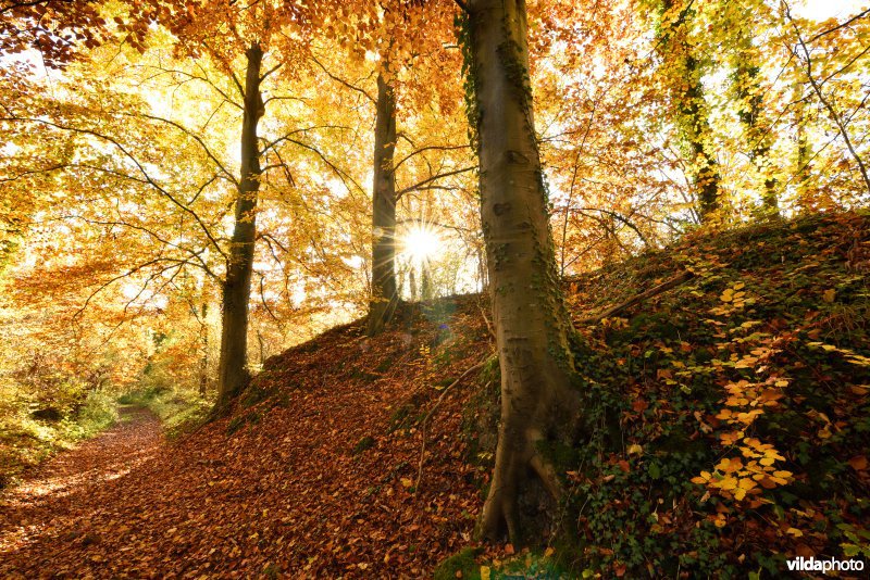 Vallei van de Hoyoux