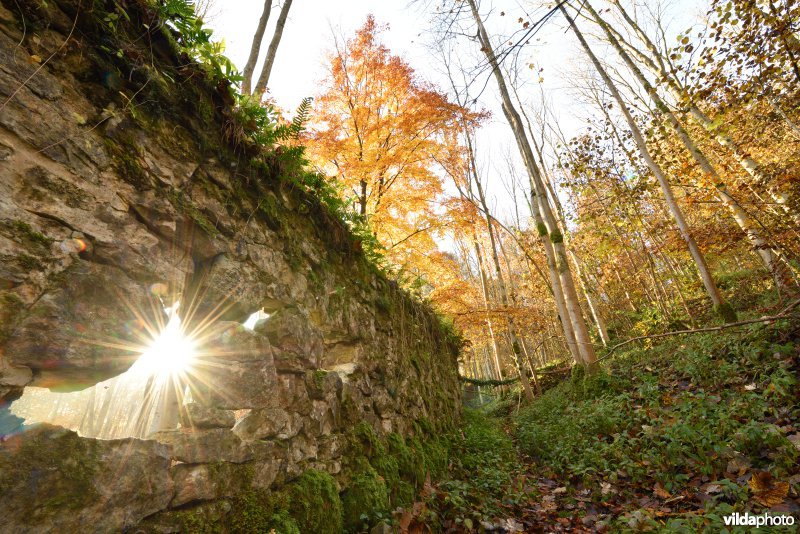 Vallei van de Hoyoux