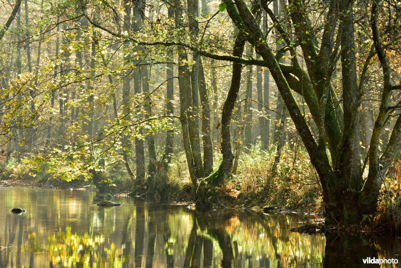 Vallei van de Houille