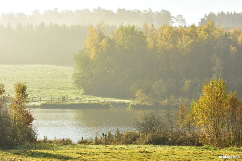 Meer van Boiron