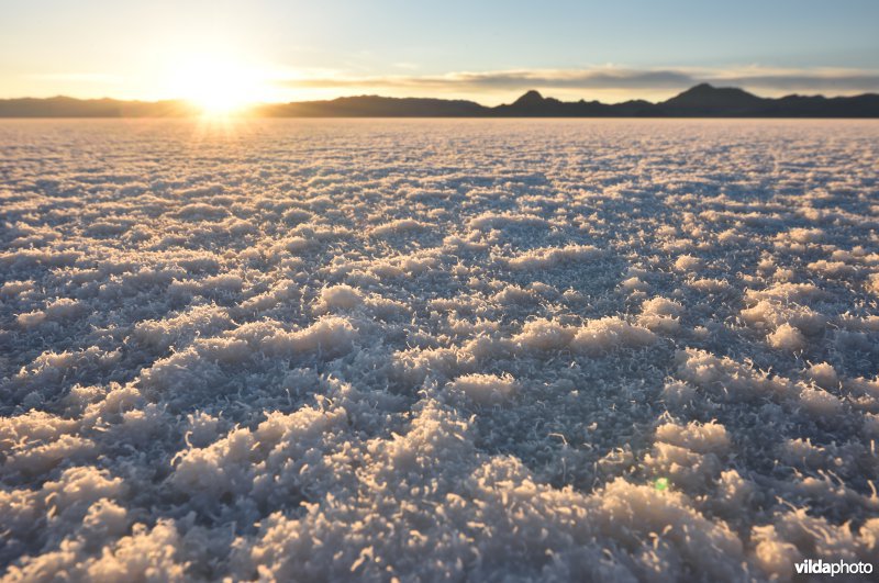 Bonneville zoutvlakte