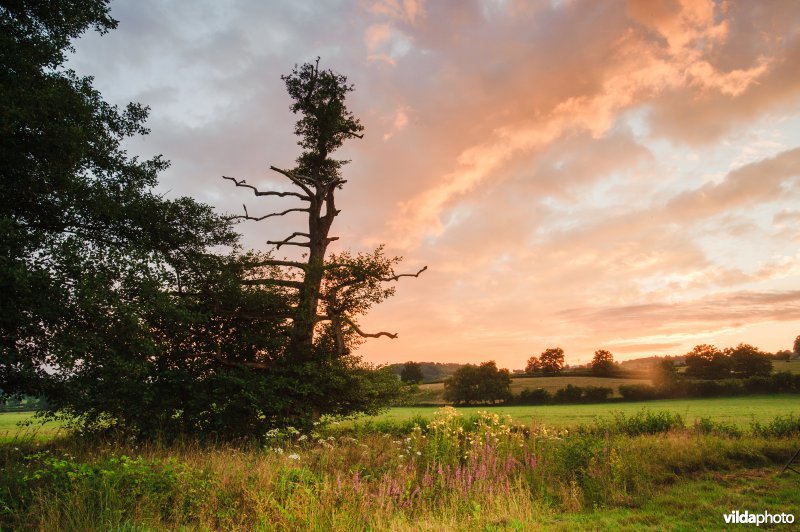 Landschap in de Morvan, Frankrijk