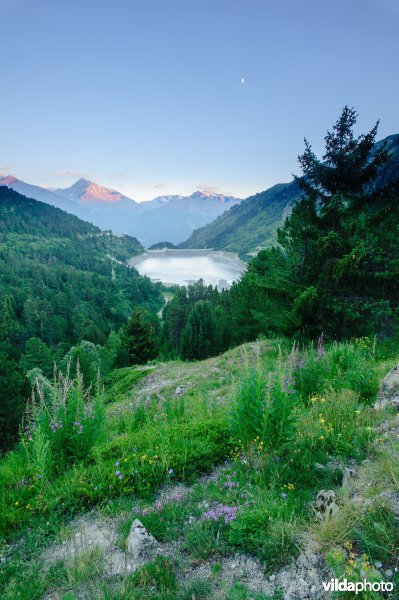 Stuwmeer Plan Sec in La Vanoise Parc National in de Franse Alpen