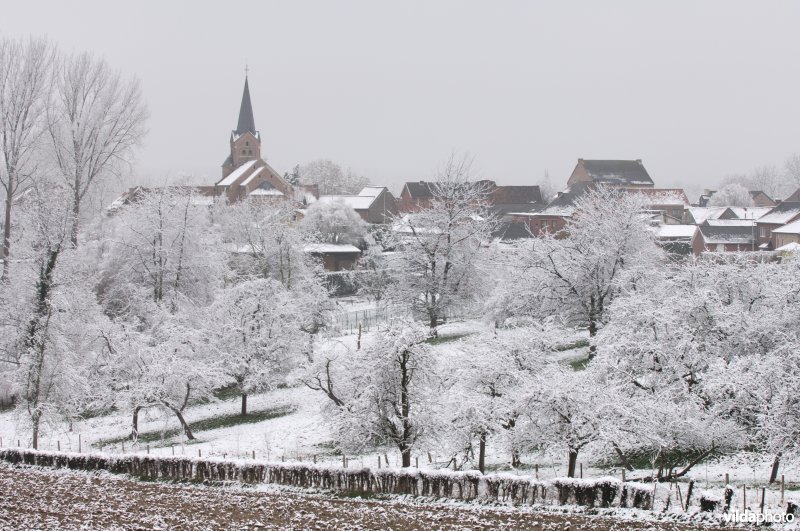 Zicht op Zammelen