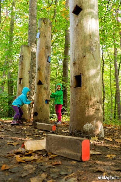 Spelen in het bos