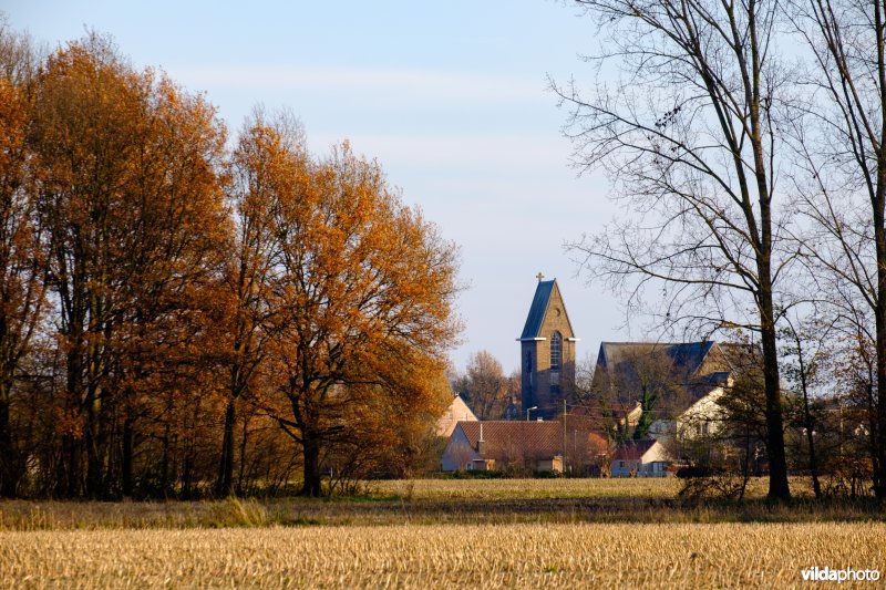 De kerk van Schulen