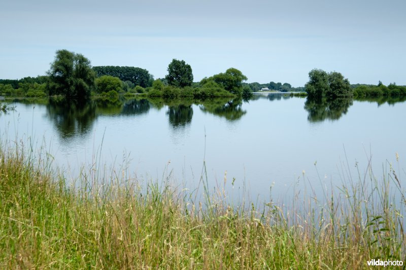 Gevuld wachtbekken