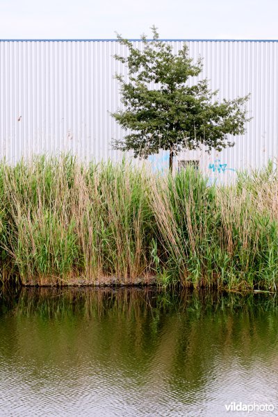 Natuurvriendelijke oever