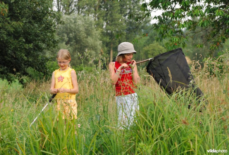 Kinderen met vlindernetjes