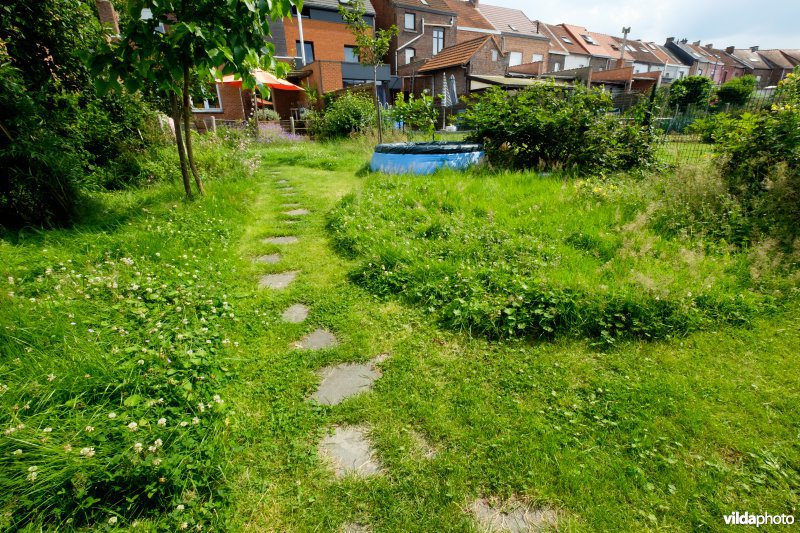 Natuur- en kindvriendelijke tuin