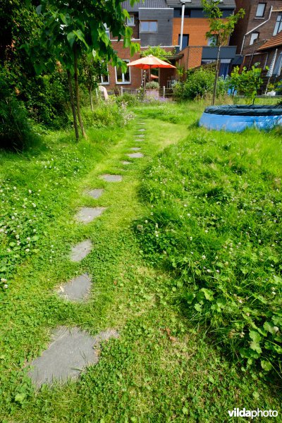 Natuur- en kindvriendelijke tuin