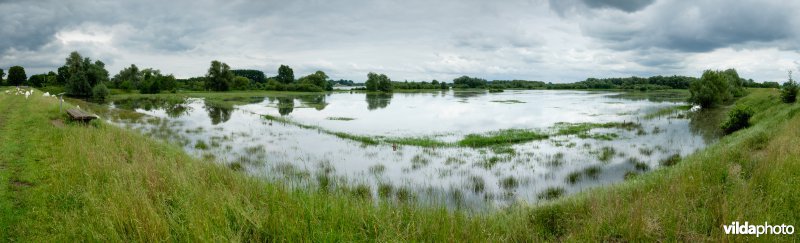 Gevuld wachtbekken