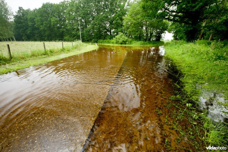 Overstroomde weg