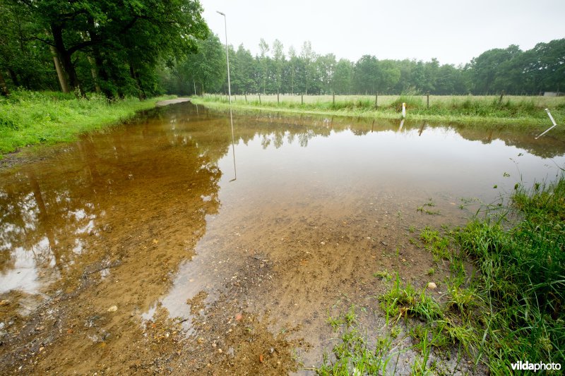 Overstroomde weg