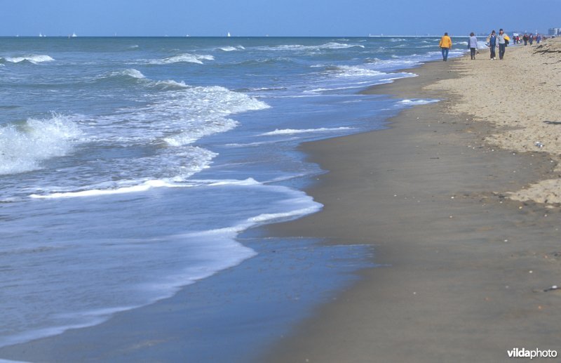 Noordzeestrand