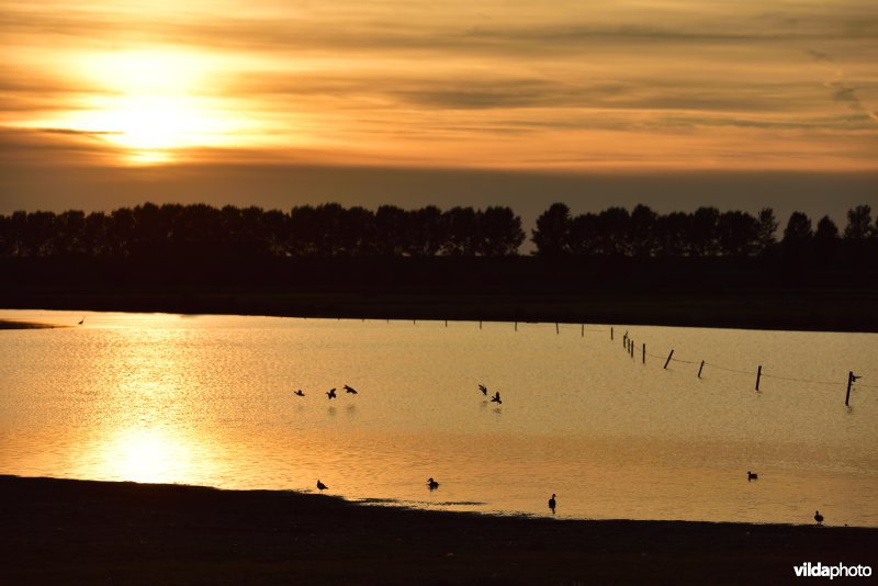 Doelpolder Noord