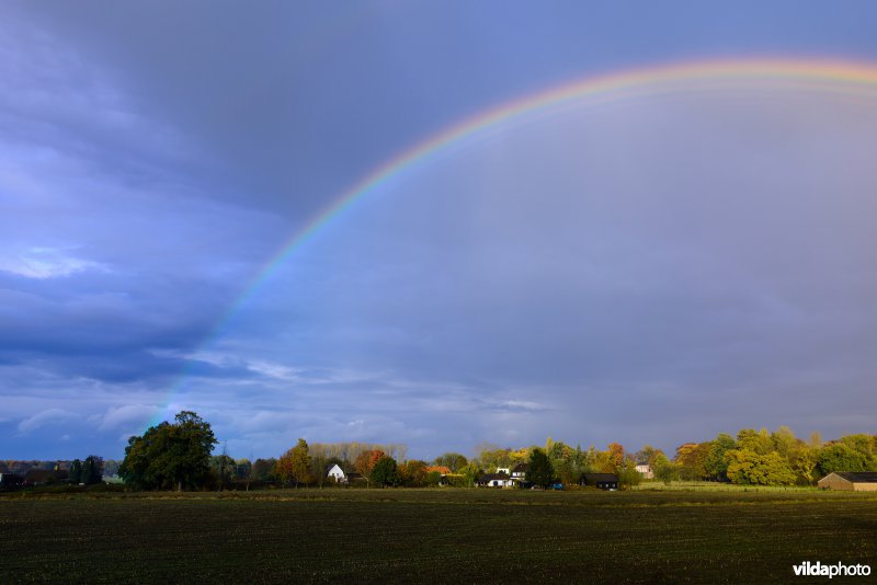 Regenboog over een akker