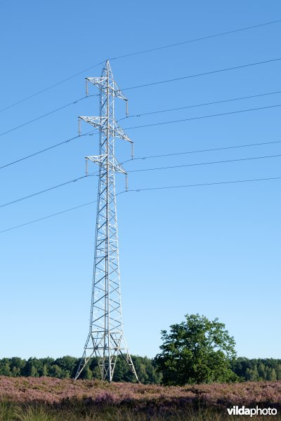 Hoogspanningslijn op een heideterrein