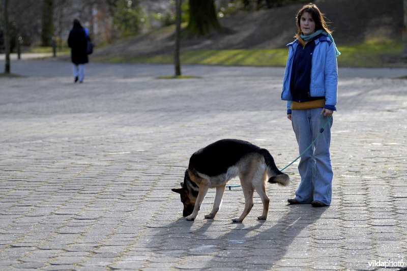 Jonge vrouw met hond