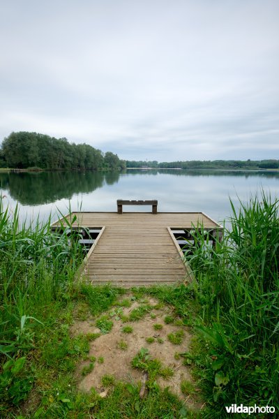 Meer van Rotselaar