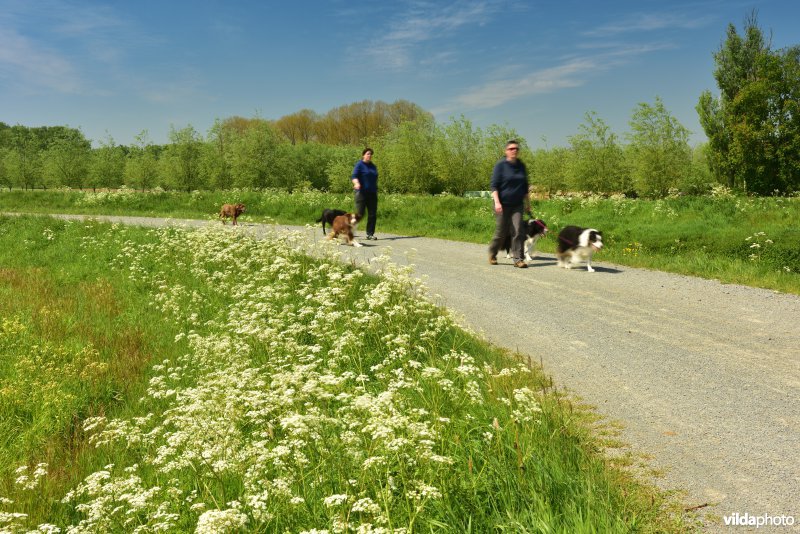 Wandelaars langs de Dijle