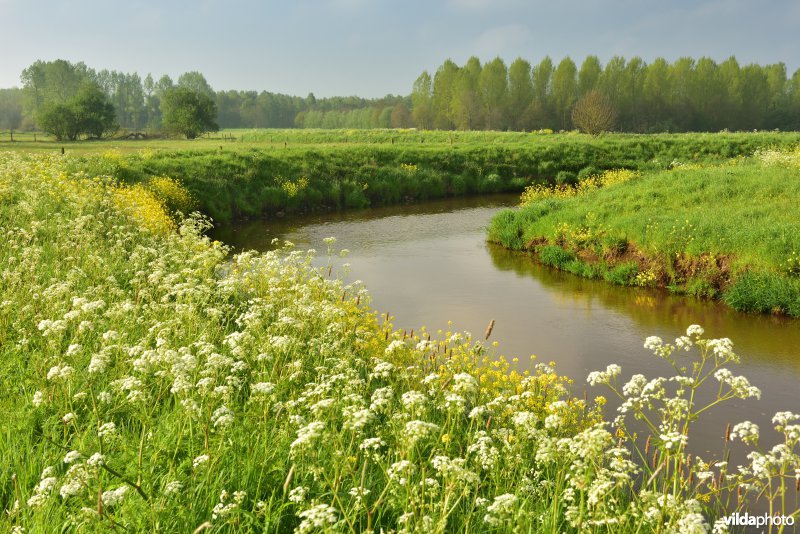 Vallei van de Grote Nete