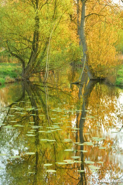 KBR polder: Bazelse kreek