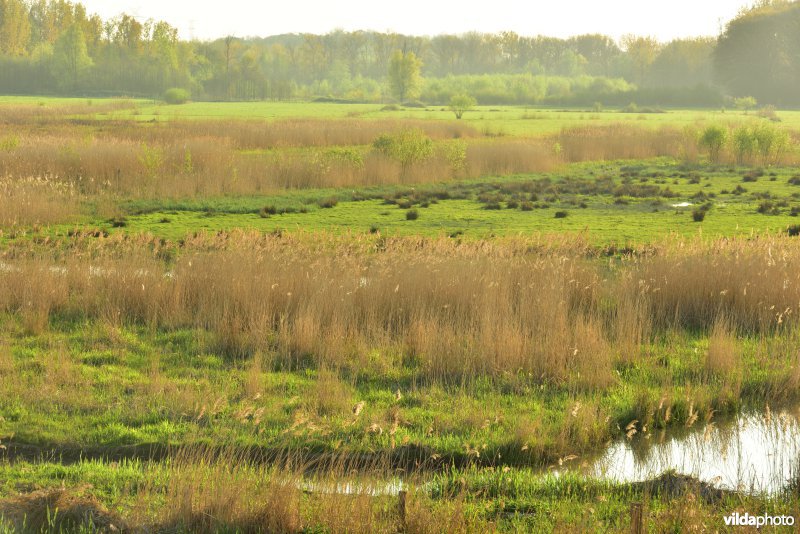 KBR polder