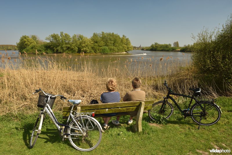 Fietsers in de Vlassenbroekse polder