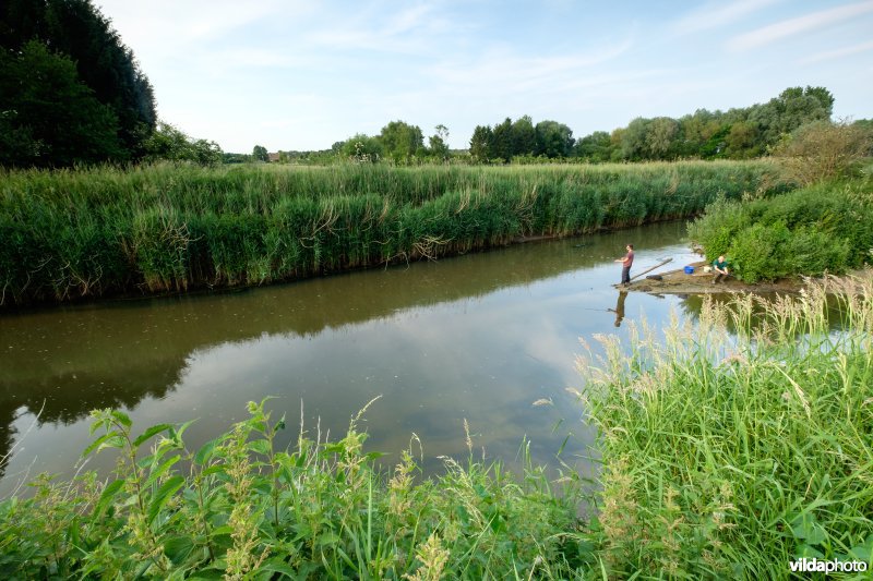 Samenvloeiing van Demer en Gete