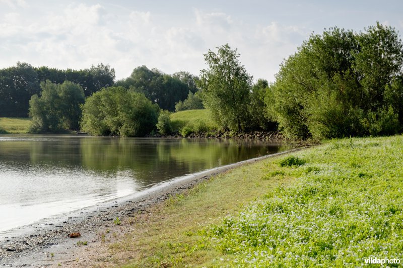 grindplas Heerenlaak