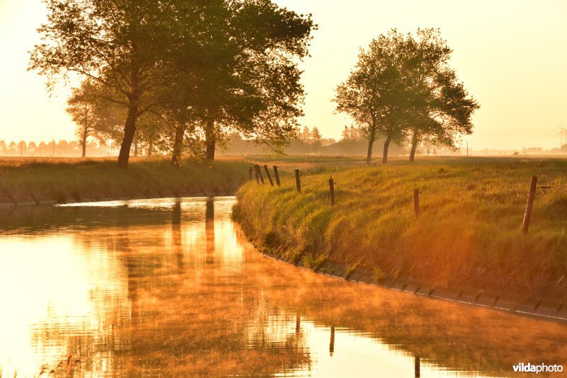 Vladslovaart