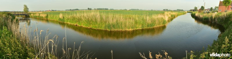 Blankenbergse vaart